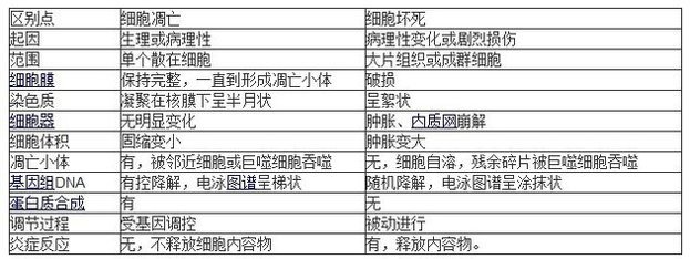 细胞坏死与细胞凋亡的区别